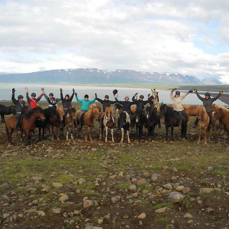Icelandhorsetours - Helluland Saudarkrokur Exterior photo