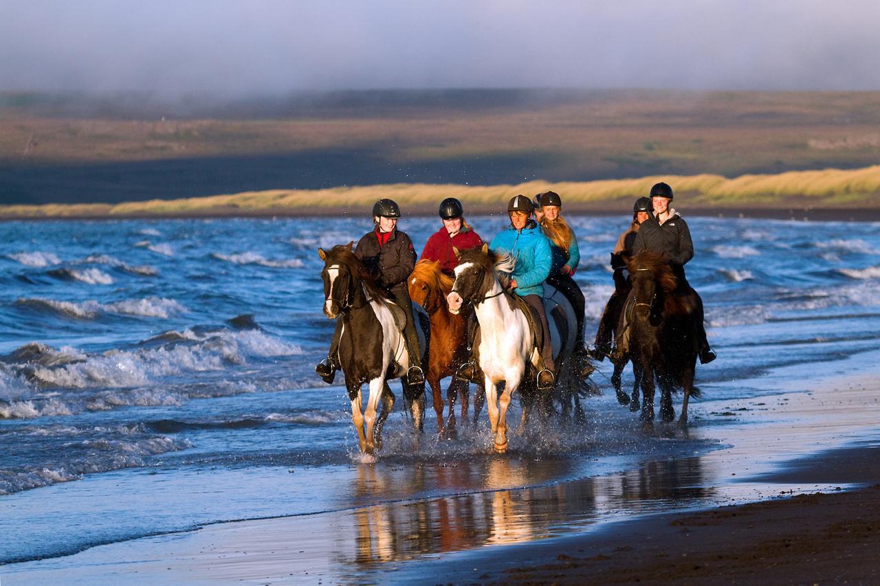 Icelandhorsetours - Helluland Saudarkrokur Exterior photo