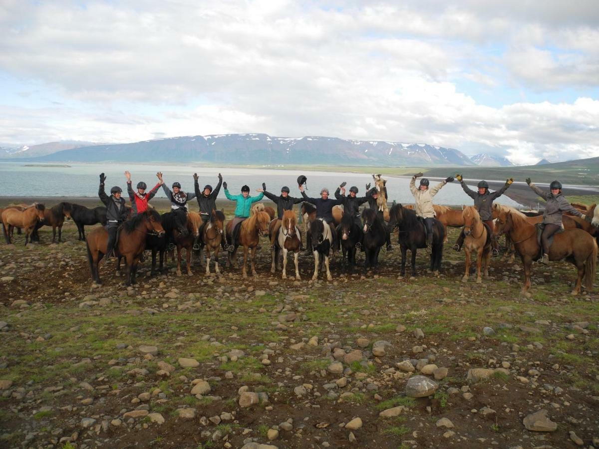 Icelandhorsetours - Helluland Saudarkrokur Exterior photo